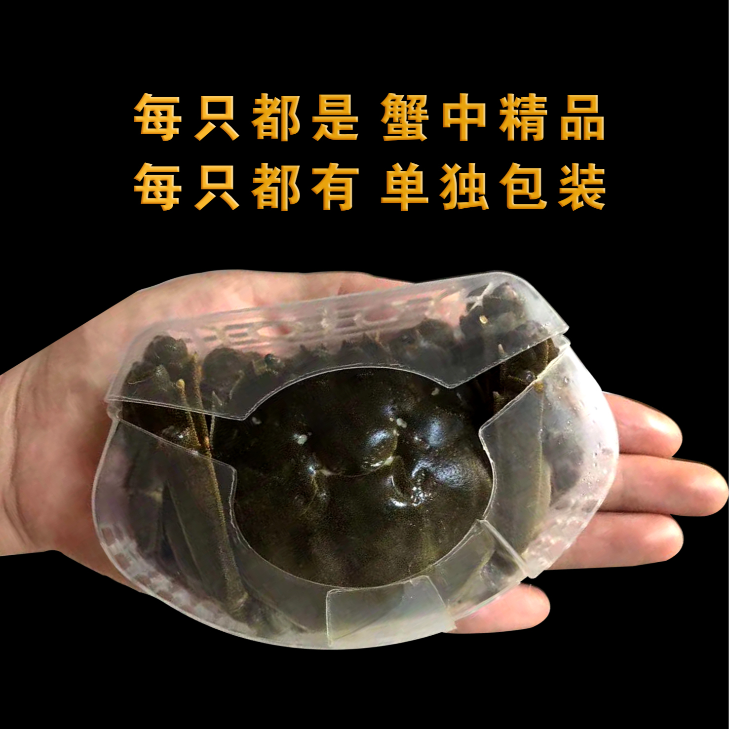 【活蟹】盘锦河蟹全母1.6-1.8两 10只都有独立包装