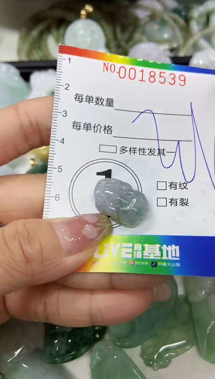 【闪购商品】翡翠颈饰未镶嵌闪购0018539