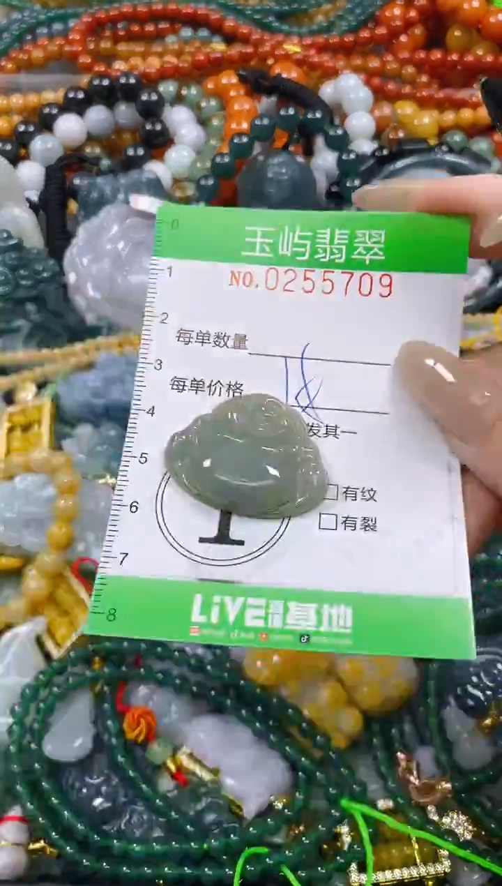 颈饰未镶嵌翡翠闪购0255709