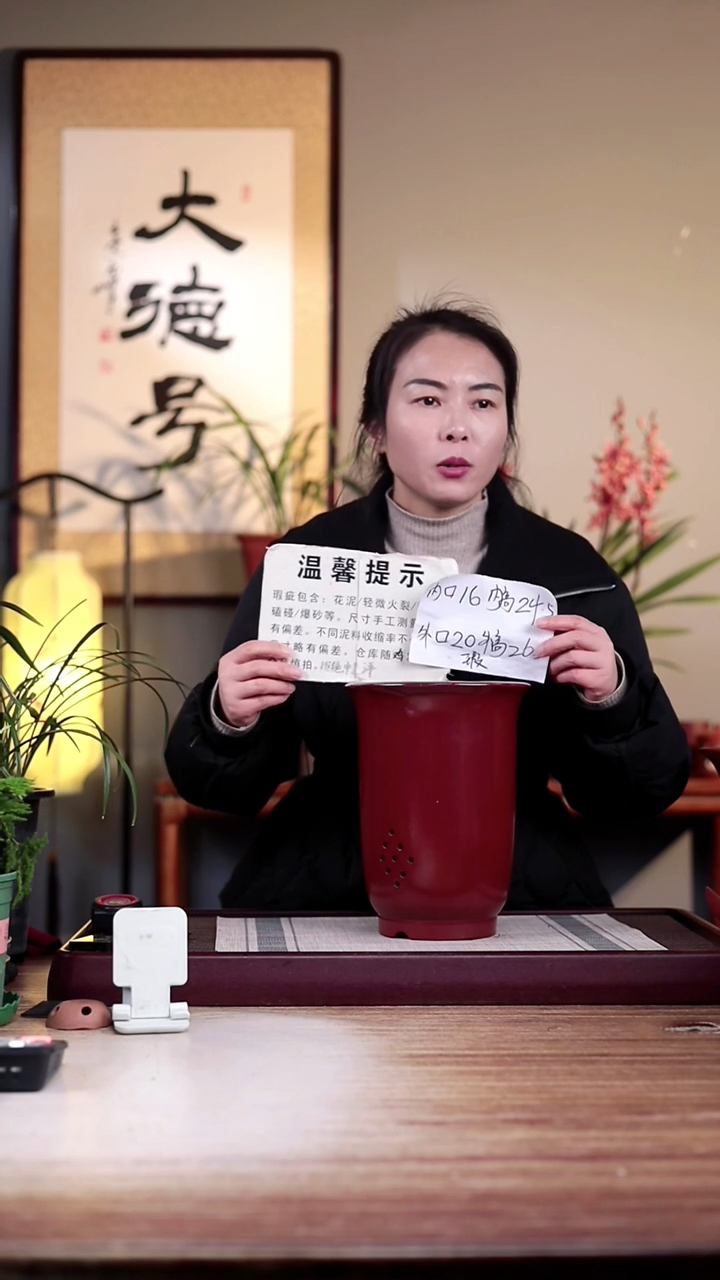 【闪购商品】紫砂花盆瑕疵胭脂红新款金钟一只无托盘