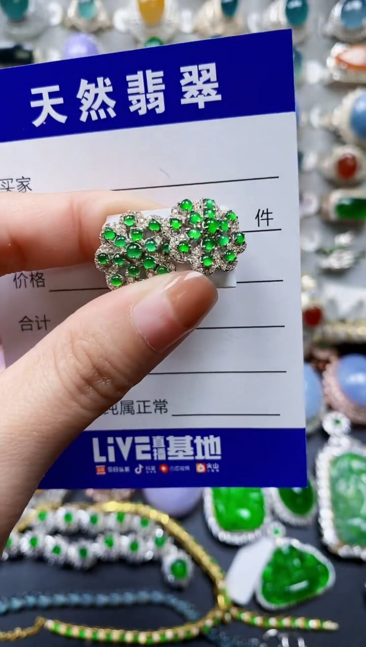 【闪购商品】翡翠耳饰银S925镶嵌0638