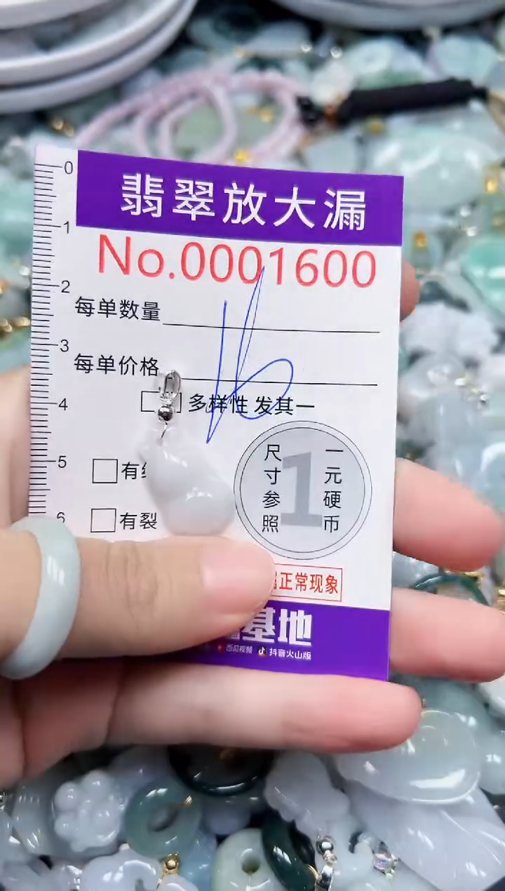 颈饰未镶嵌翡翠1600