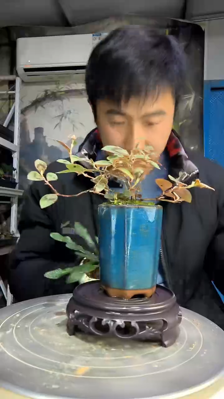 小***哭中青园艺一物一拍花153