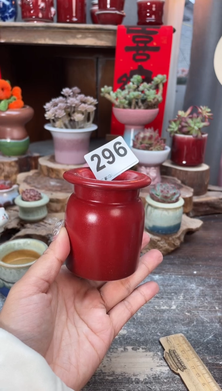 【闪购商品】摆件296知木小芳花盆