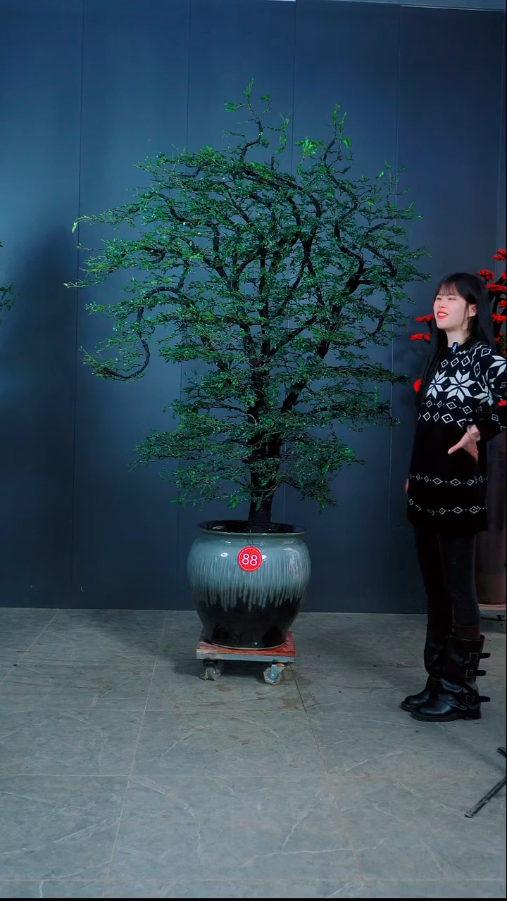 无花朵恒**哥广东小叶紫檀.88号