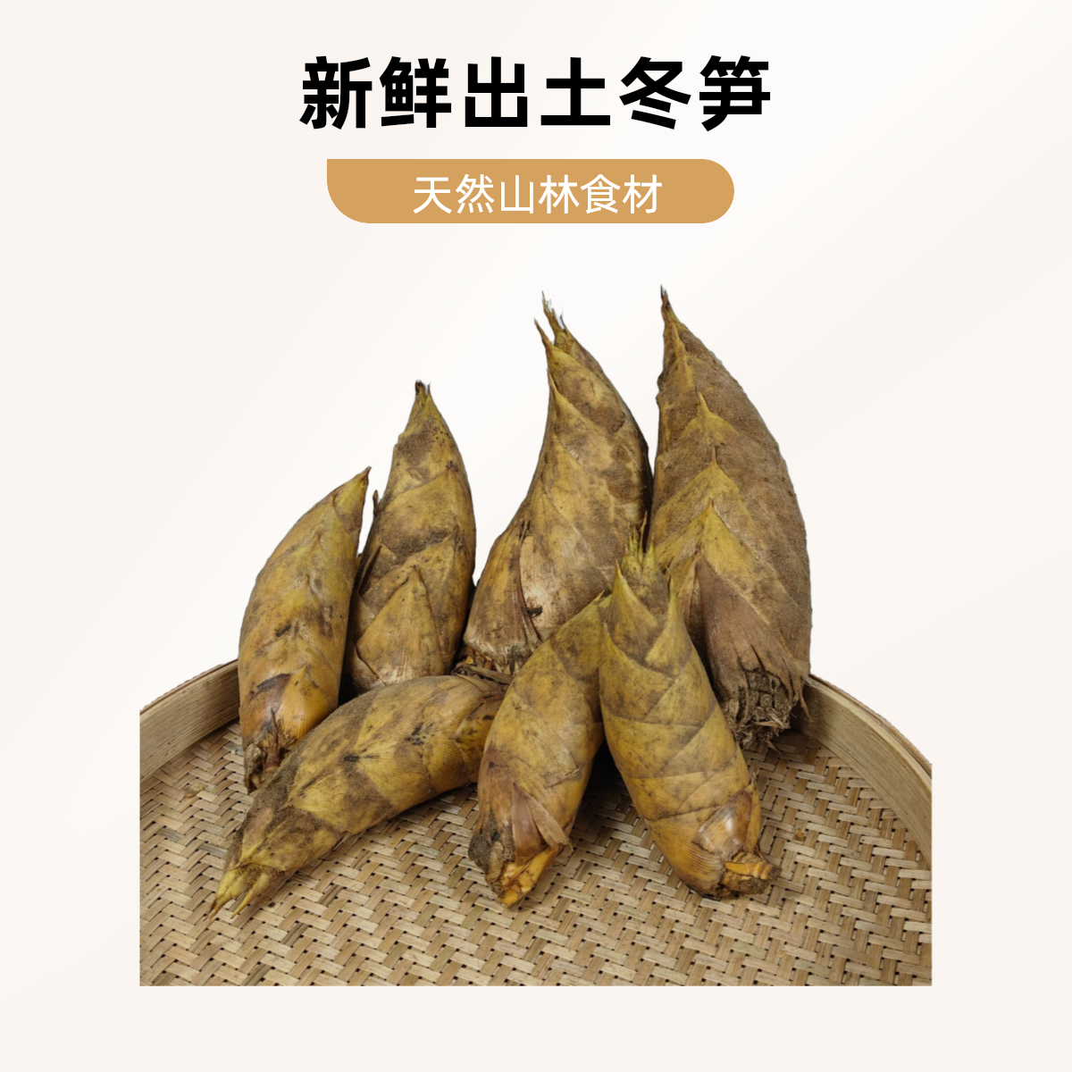 新鲜现挖广西融水高山黄泥冬笋应季山珍