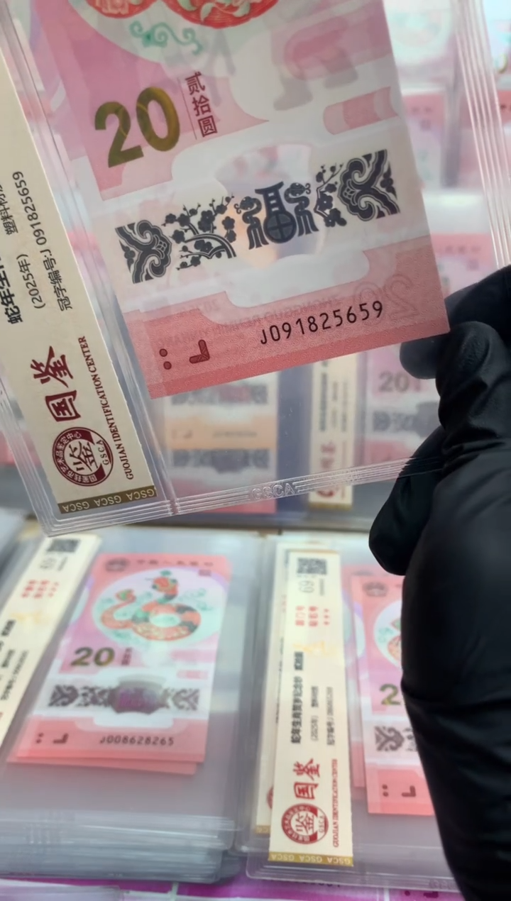 【闪购商品】塑料蛇钞 真钞【单张】5659