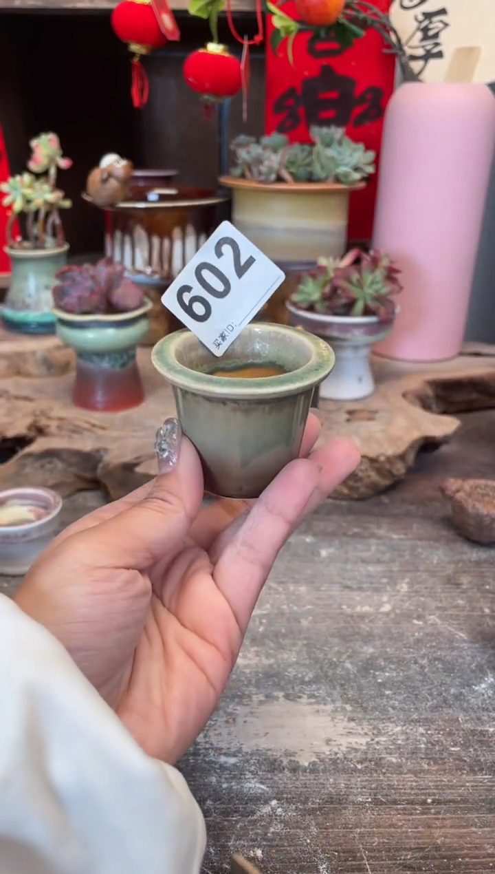 【闪购商品】摆件602知木小芳花盆