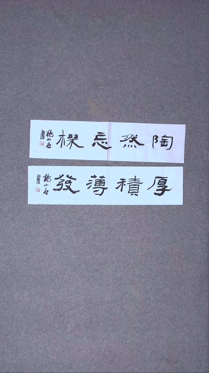 书法 杨小立 河南南阳69*17*2一平尺两张 宋一单