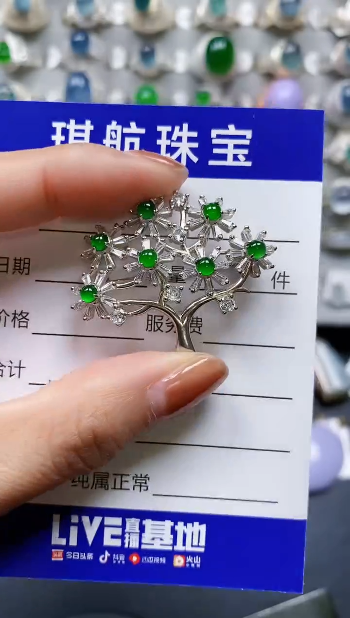 【闪购商品】翡翠颈饰银S925镶嵌0696