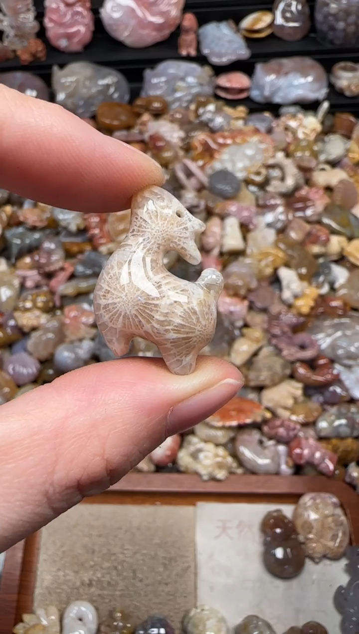 颈饰未镶嵌硅化珊瑚（珊瑚玉）199