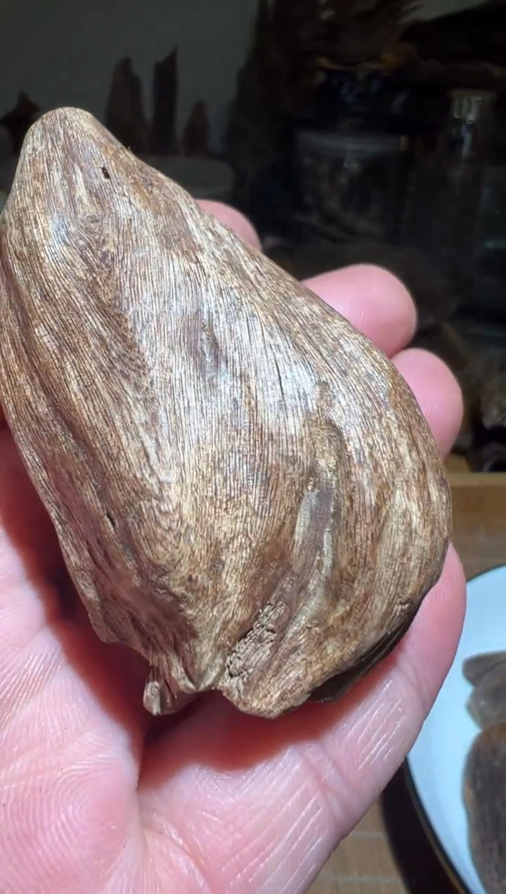 【闪购商品】沉香手把件安汶12克