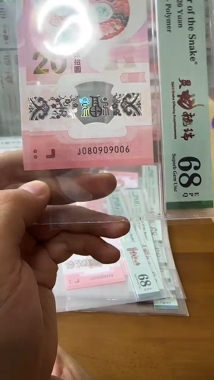 塑料080909006-蛇钞单张