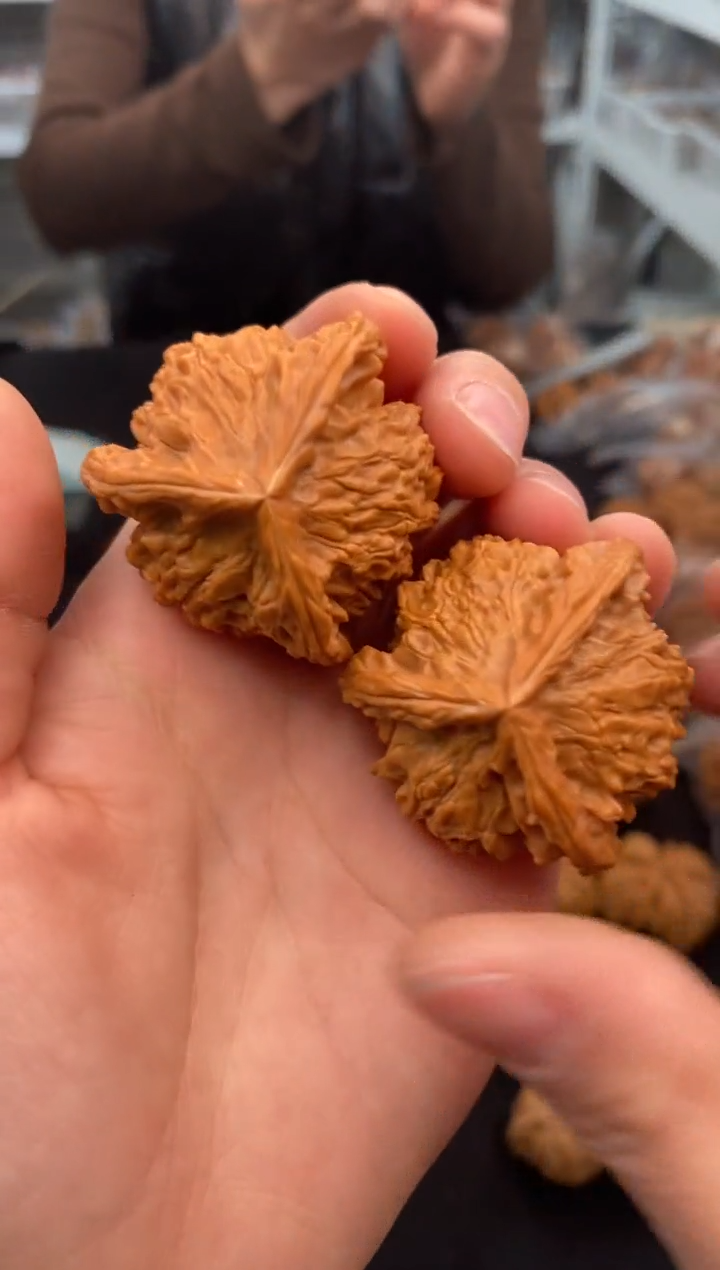 【闪购商品】文玩核桃把件盘山奔39-u840