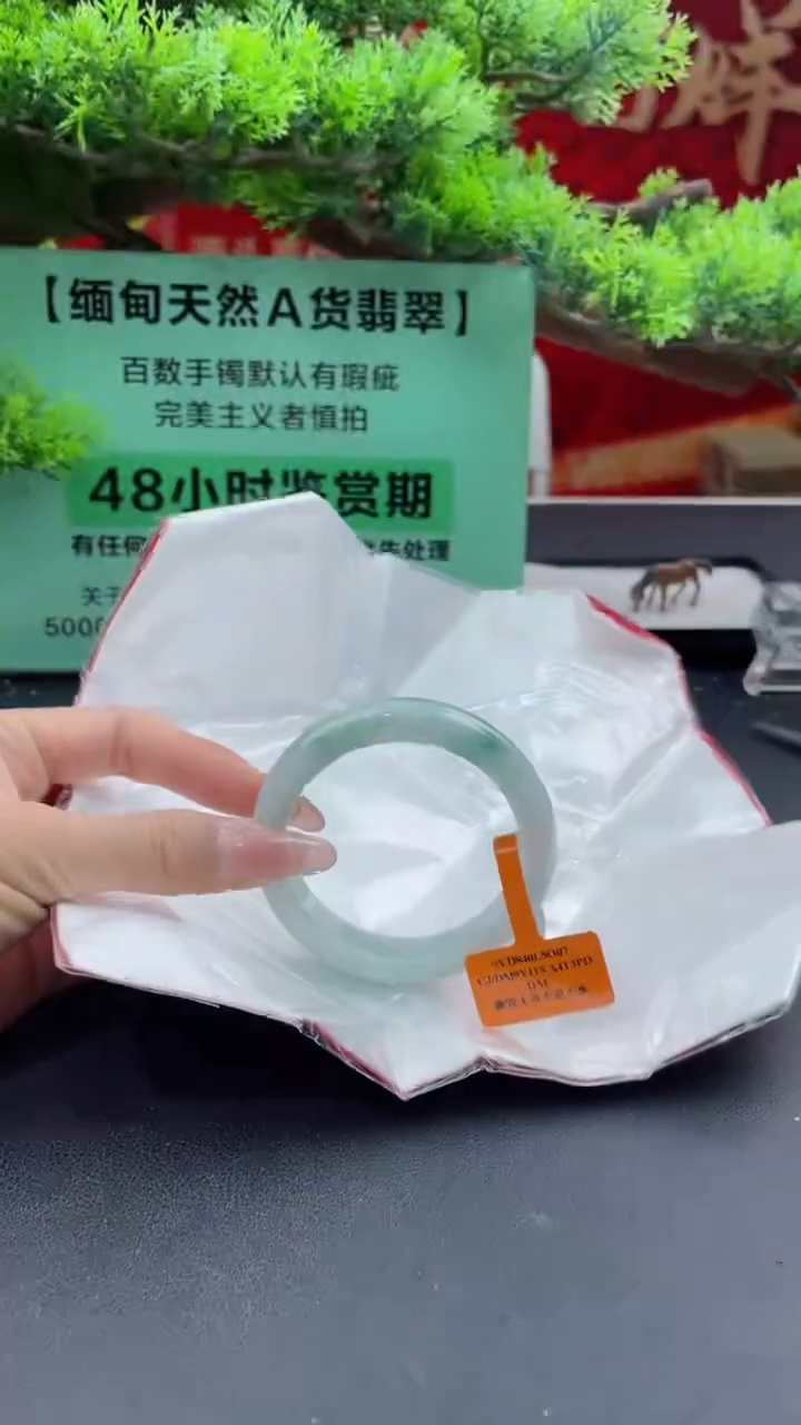 【闪购商品】翡翠手镯未镶嵌10翡翠手镯