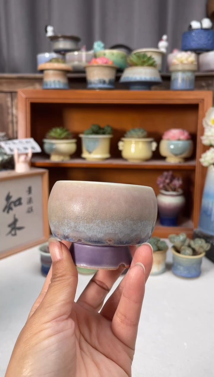 瓷片390小芳直播编号