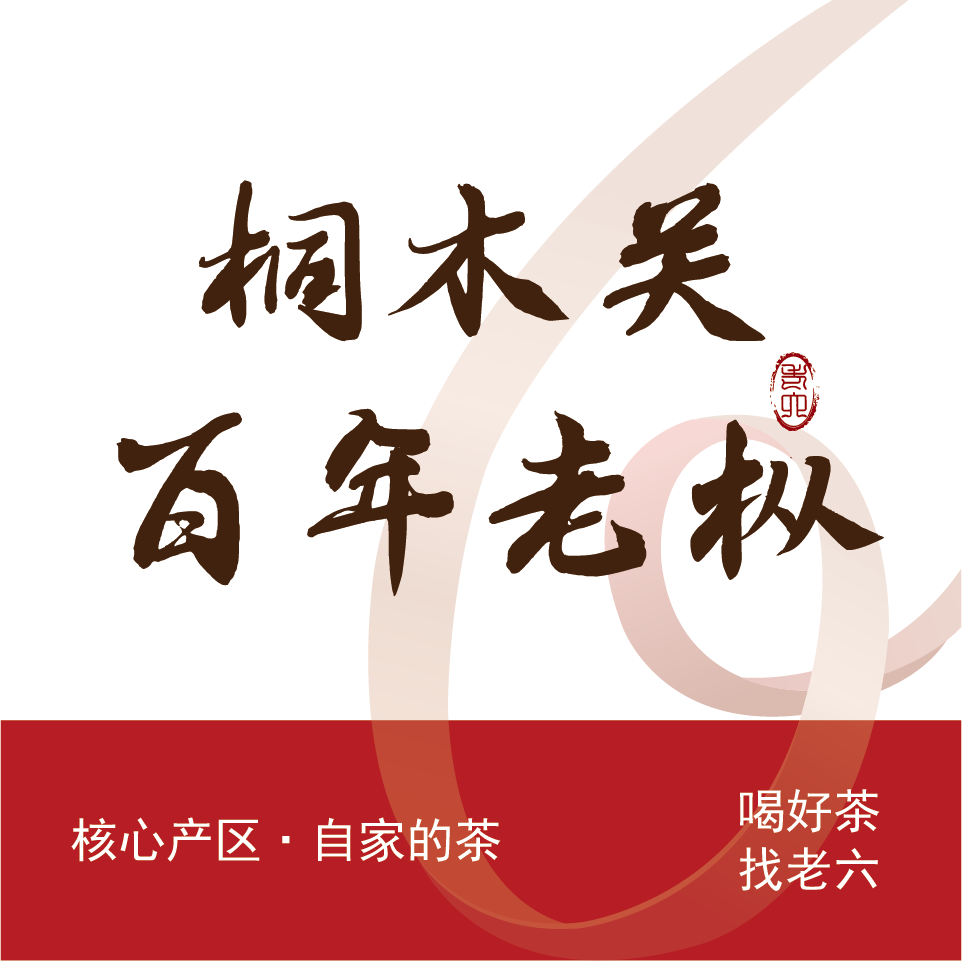 武夷红茶（桐木关百年老枞）250g