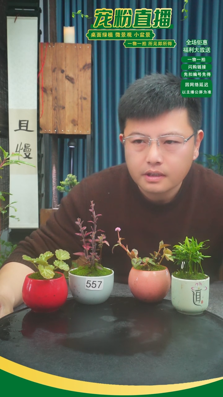 无花朵@**寶苔藓微景观557号