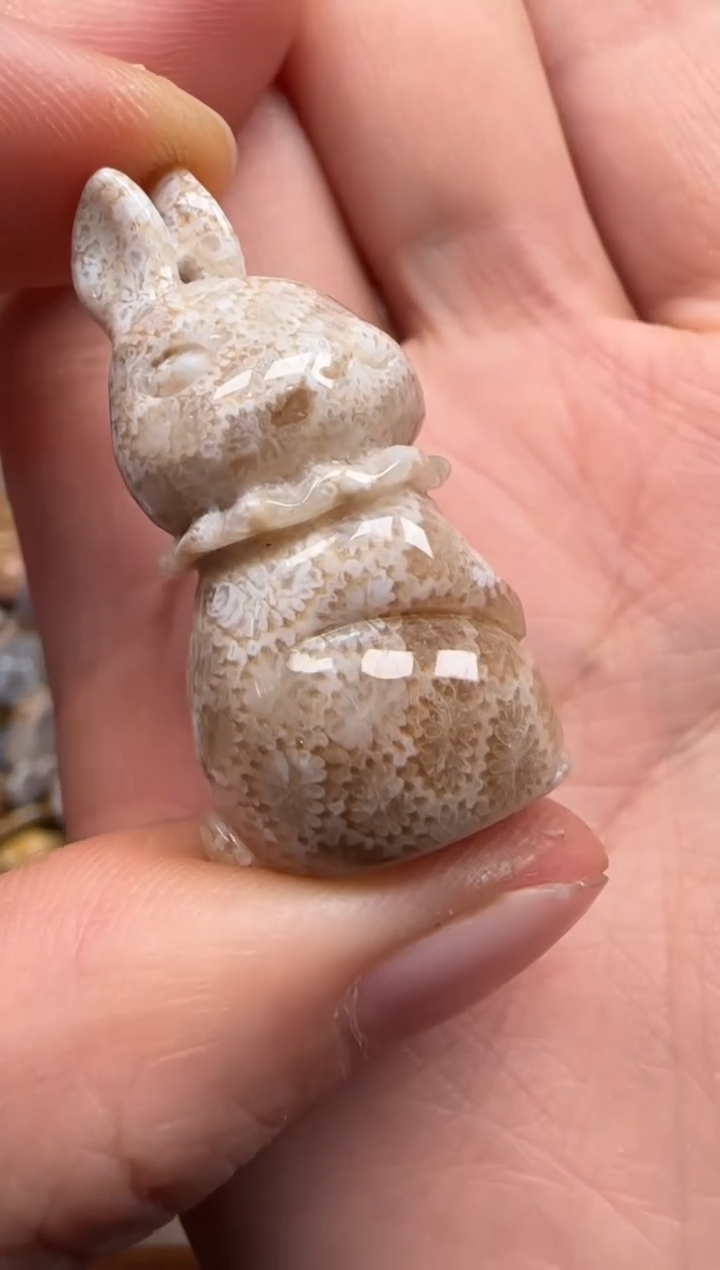 【闪购商品】硅化珊瑚（珊瑚玉）颈饰未镶嵌764