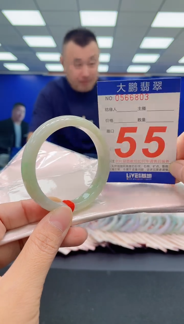 未镶嵌手镯翡翠AAAAAAAAA