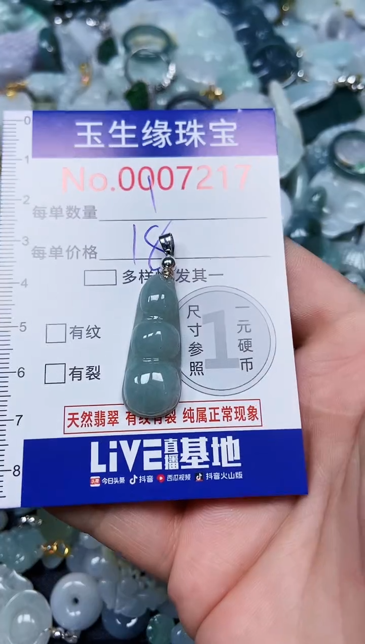 【闪购商品】翡翠颈饰未镶嵌闪购00007217