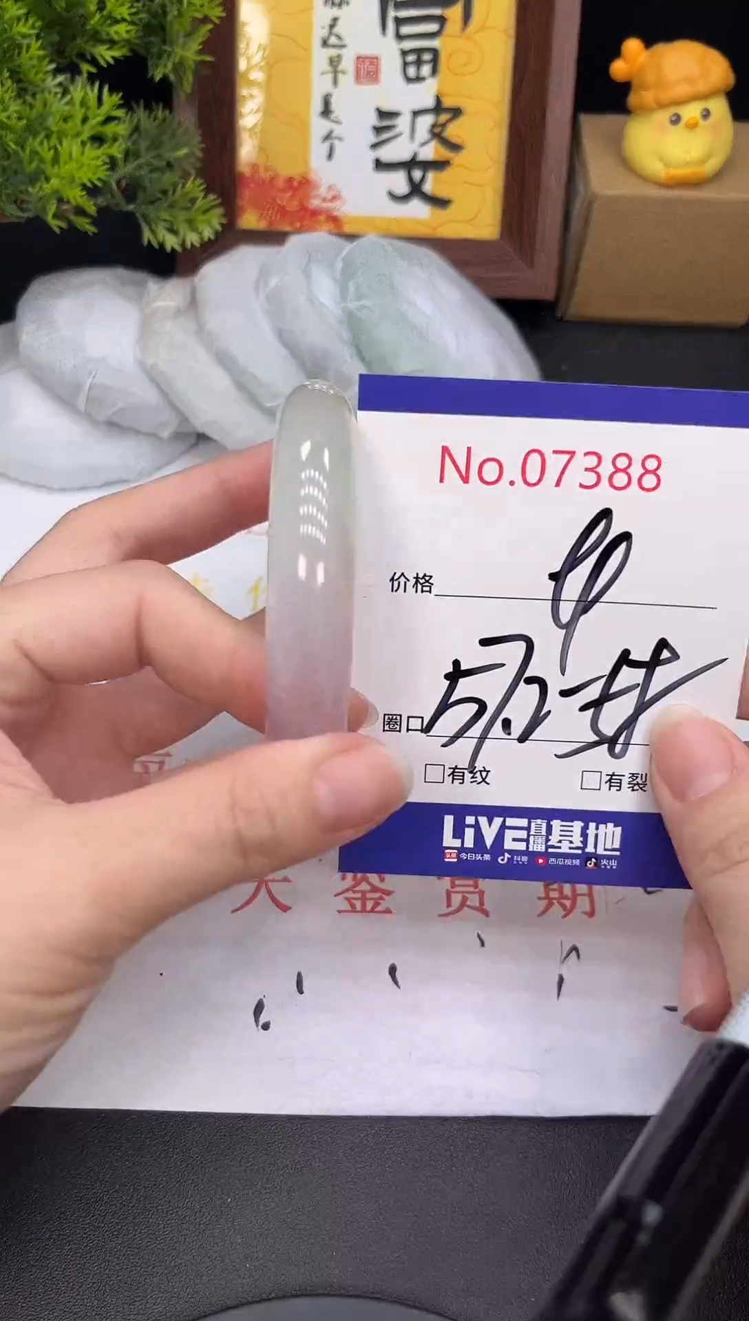 未镶嵌手镯翡翠7388