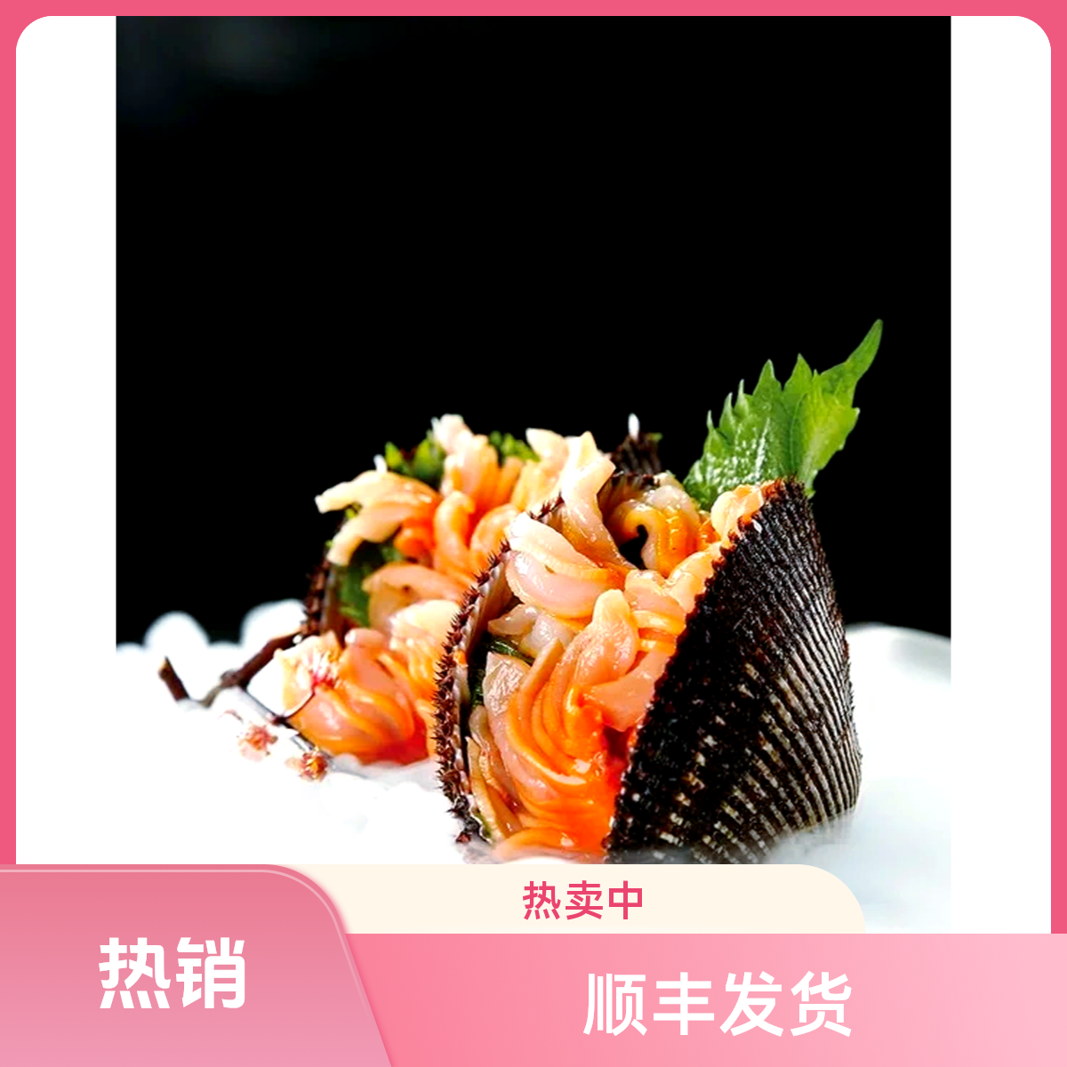 渤海湾鲜甜新鲜赤贝