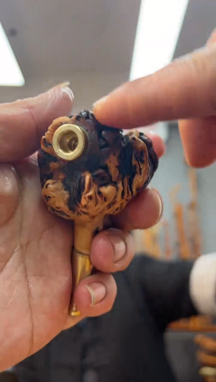 【闪购商品】黑果木其他黑果木212