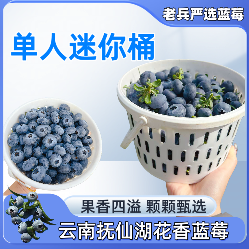 [当季热卖] [云南抚仙湖花香蓝莓] [单人迷你桶] 顺丰空运