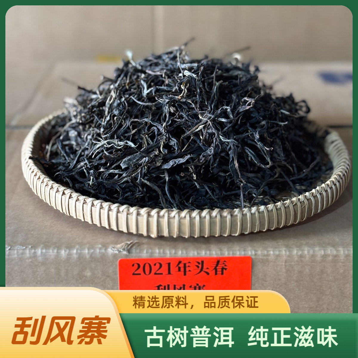 刮风寨2021年古树头春普洱茶散茶200克聚划算