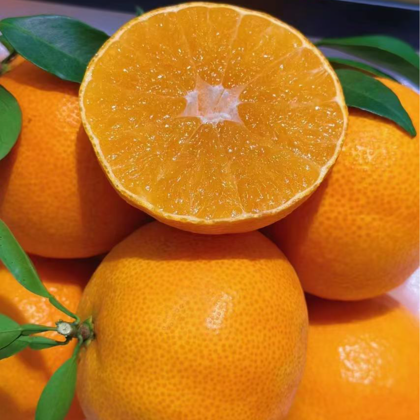 【贡品礼盒】浙江宁波象山红美人柑橘爱媛果冻28号桔子新鲜采摘