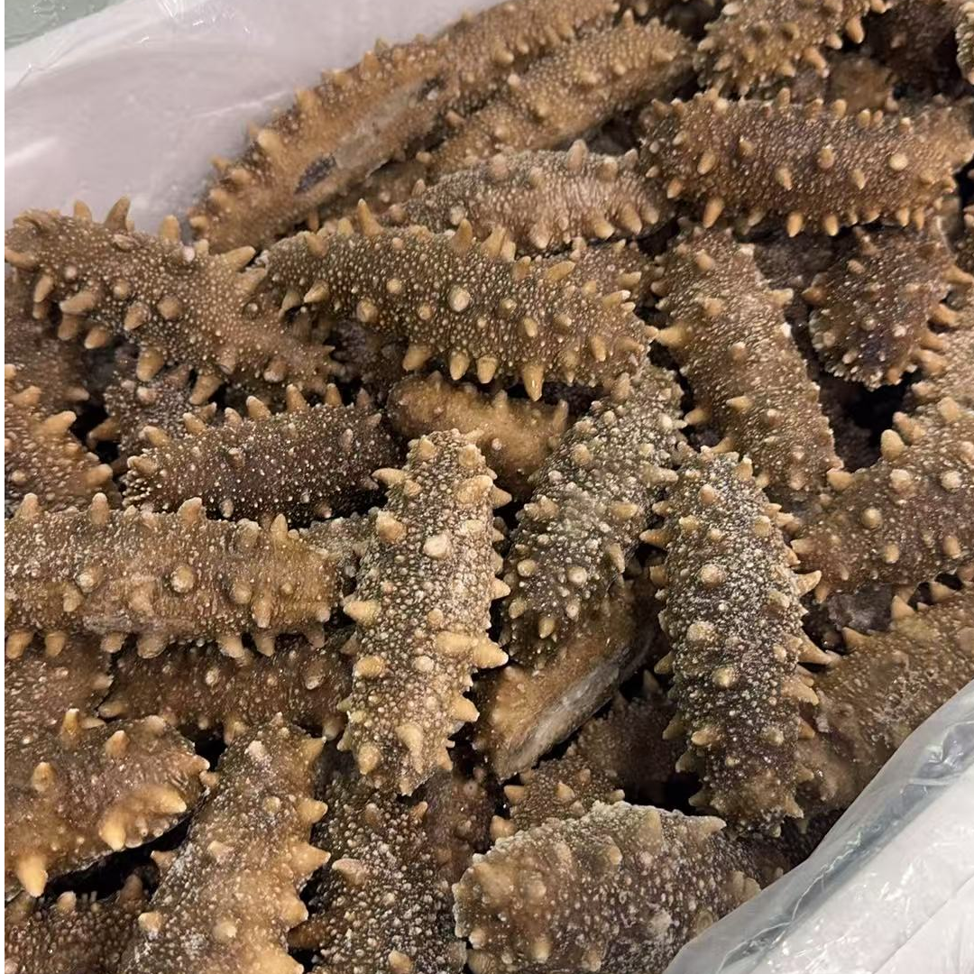 【听清再拍】特价海参福利听清再拍（不支持7天无理由）海参正宗辽参