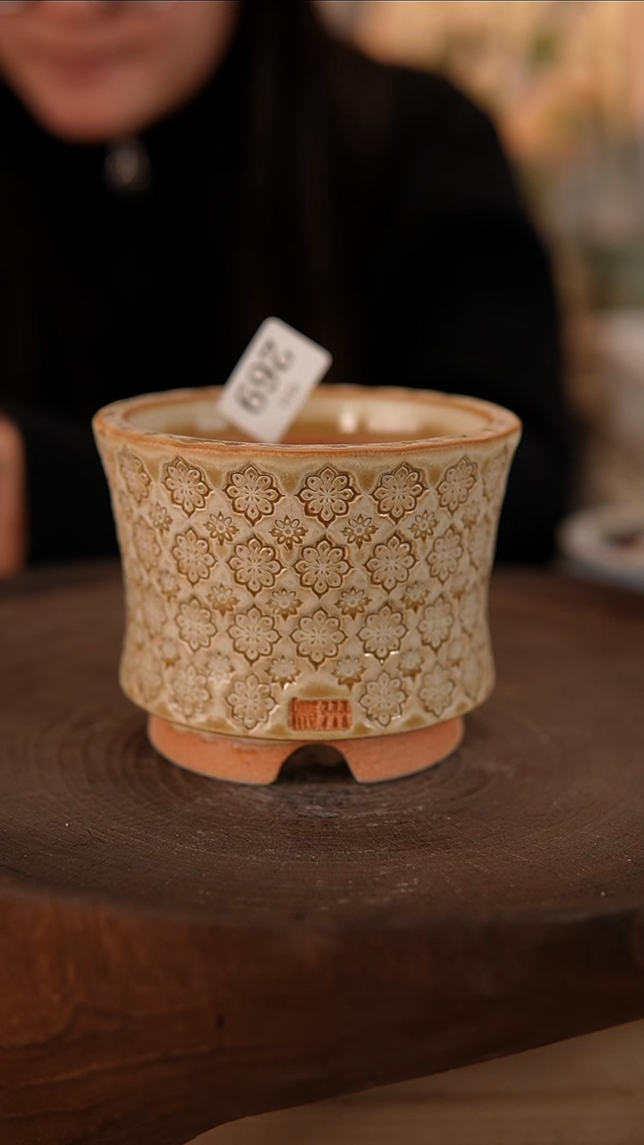 【闪购商品】陶瓷2-14-269默认有瑕口