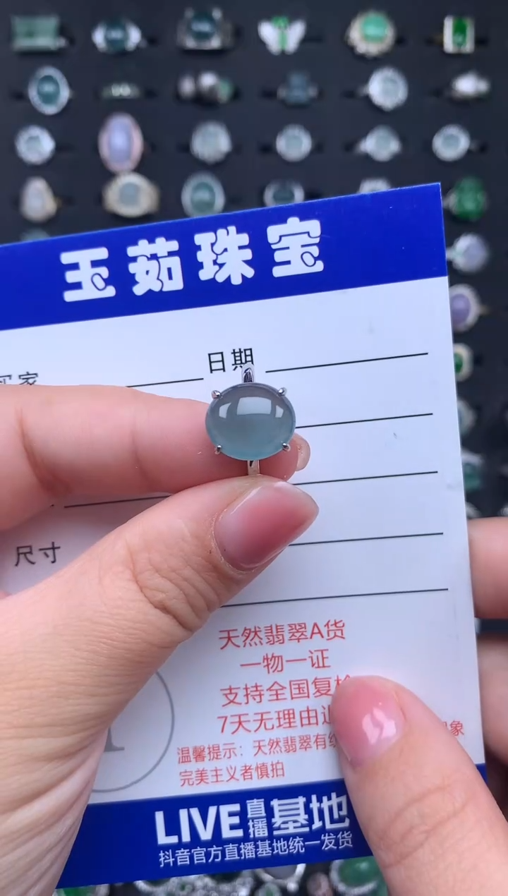 【闪购商品】翡翠颈饰银S925镶嵌345345