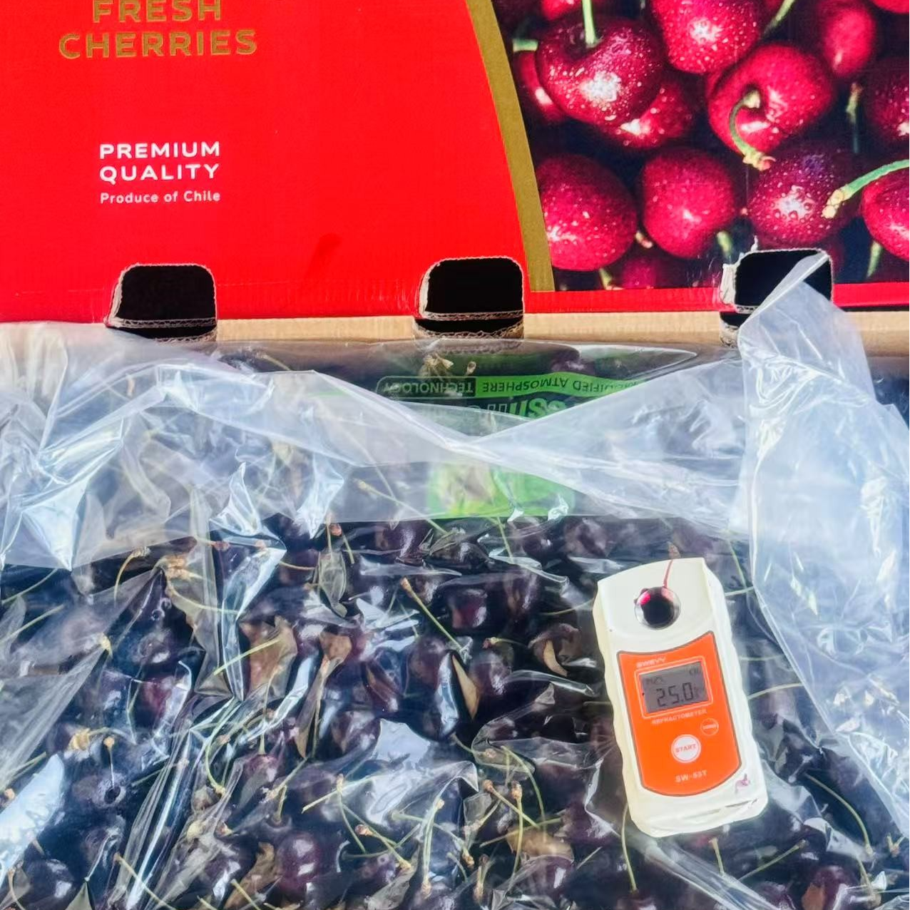 年货节春节限定闪送到家科迪亚KORDIA车厘子，单JDD，甜度达到25+五斤十斤装