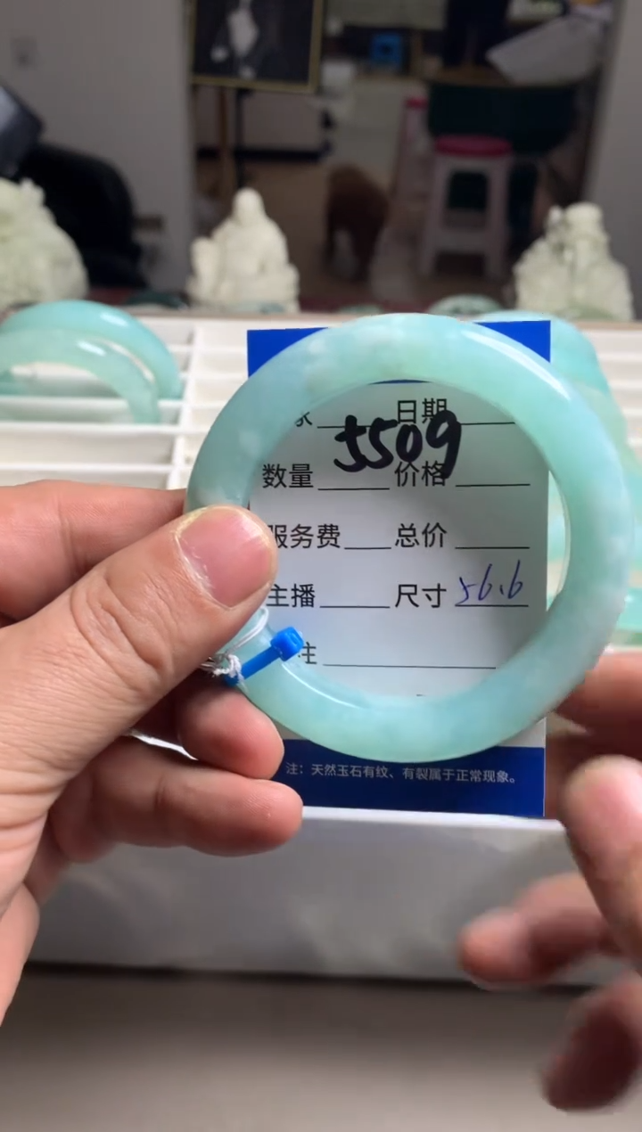 【闪购商品】蛇纹石玉手镯未镶嵌5509