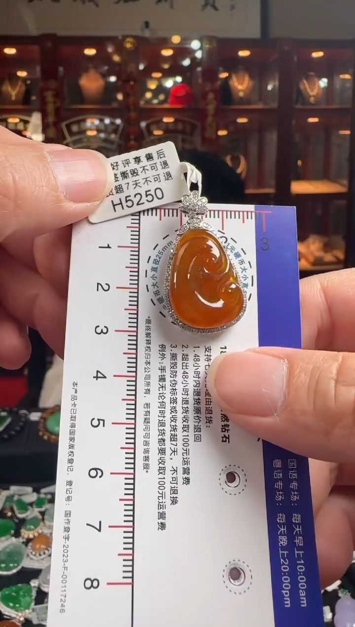 【闪购商品】翡翠颈饰18K金镶嵌H5250 冰红如意