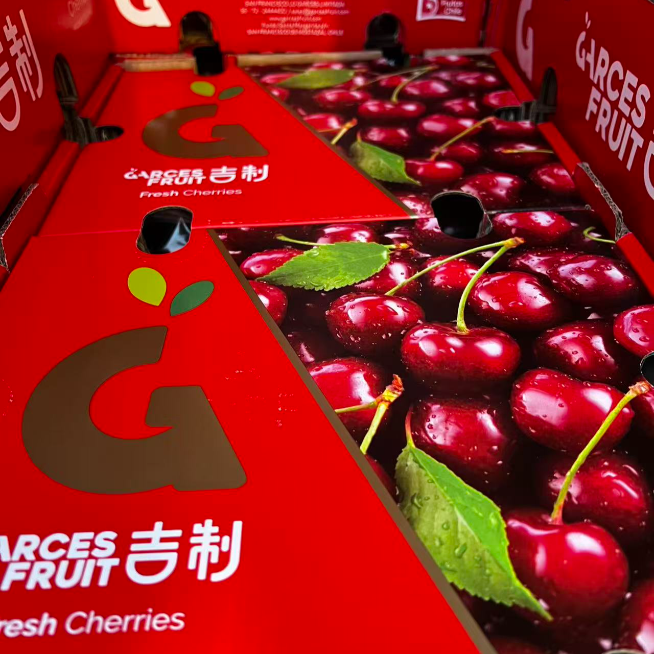 【江浙沪次日达】吉制海运桑提娜车厘子净重5斤2J/3J内附果径卡（11）桑提娜智利