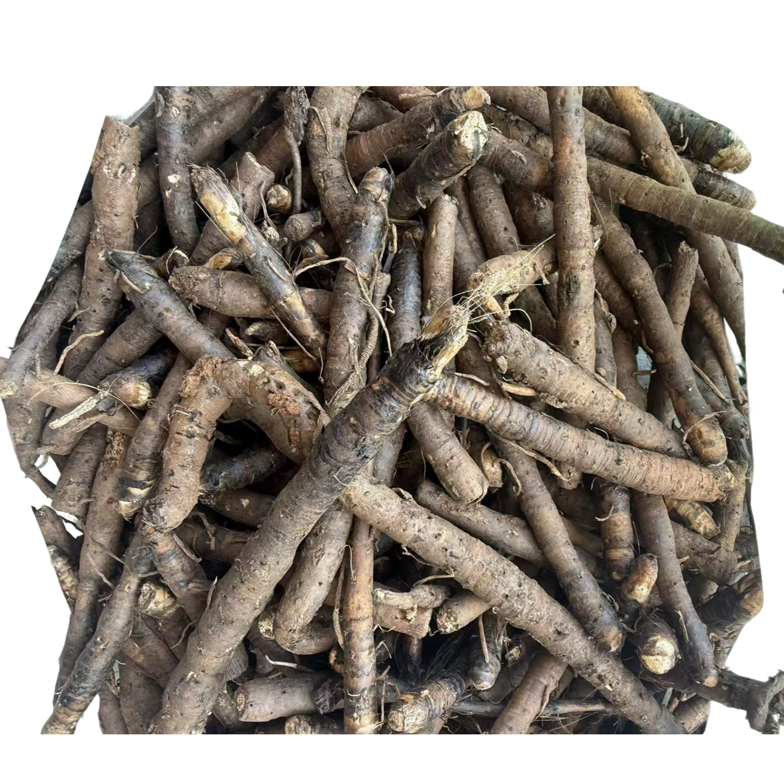 贵州野生仙茅新鲜500g【1斤】包邮