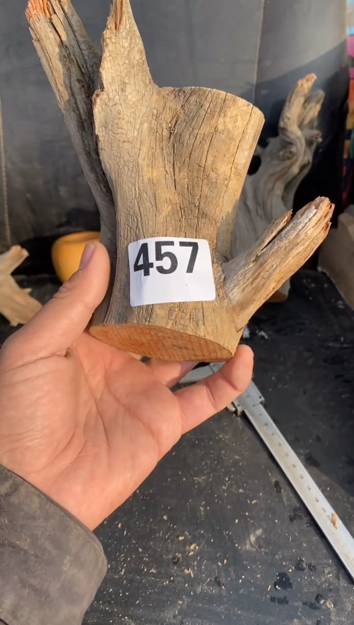 柏木（崖柏）太行陈化崖柏切片！随机（1单1片）457