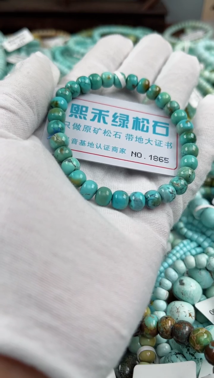 未镶嵌绿松石松石1865