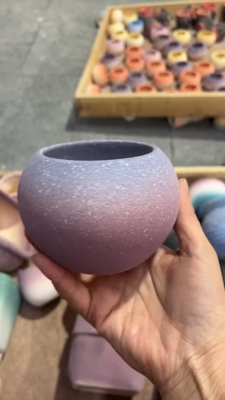 【闪购商品】陶15.8