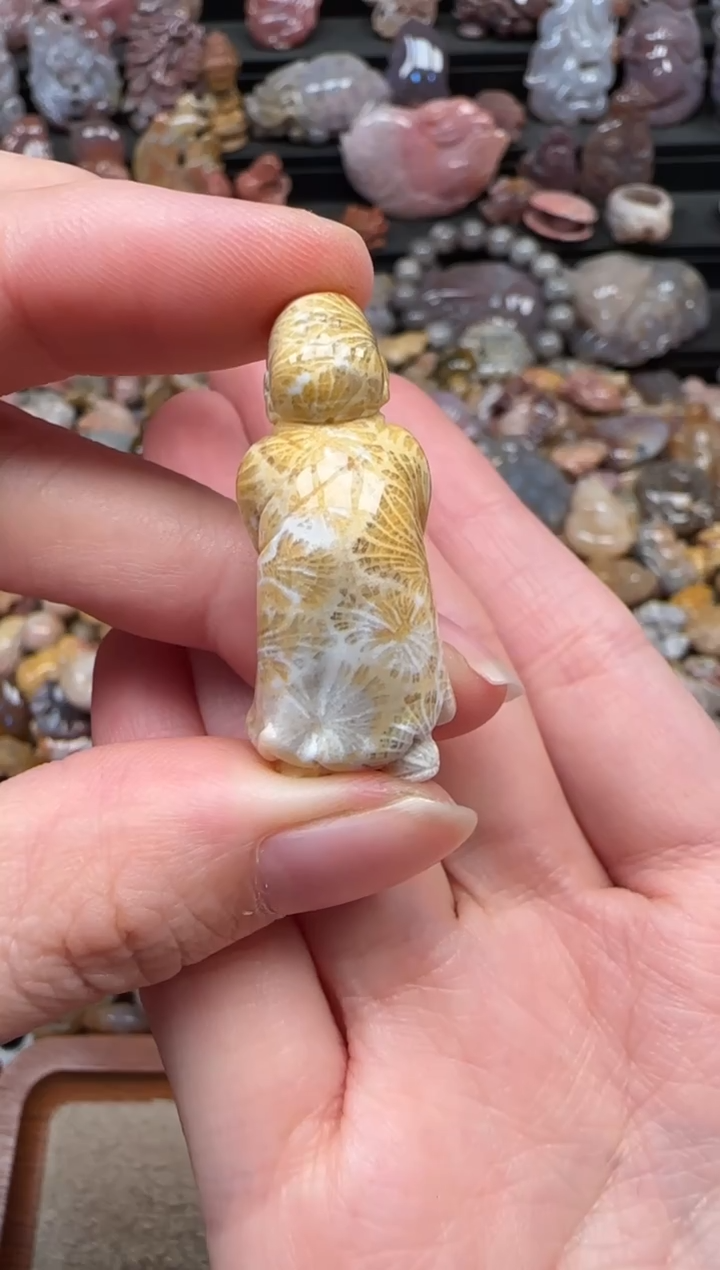 颈饰未镶嵌硅化珊瑚（珊瑚玉）327