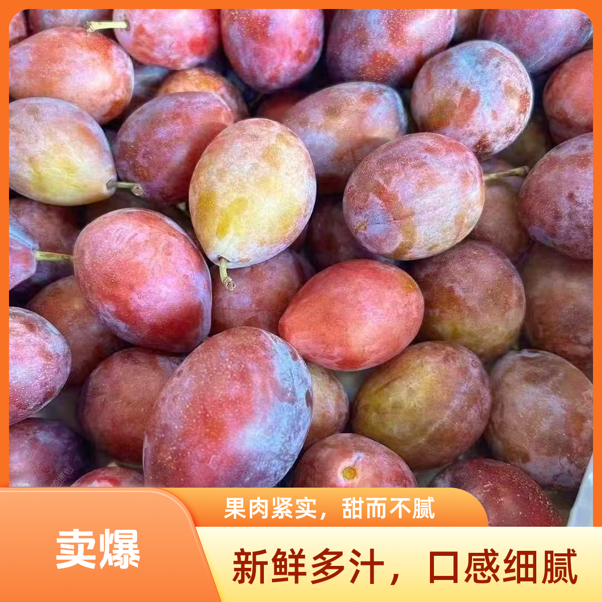 新疆法兰西西梅