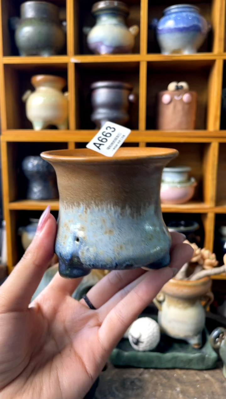 微瑕663【多肉花盆多肉盆】