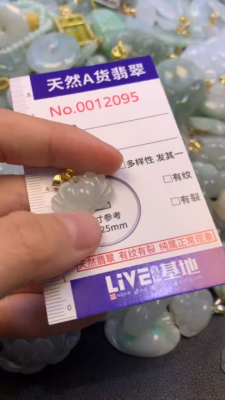 颈饰未镶嵌翡翠1