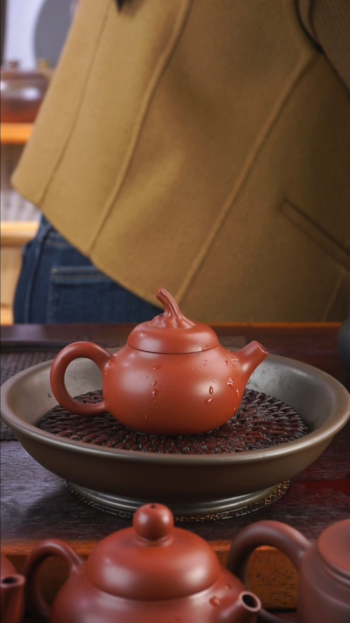 风*80毫升小复烧南瓜仔单壶