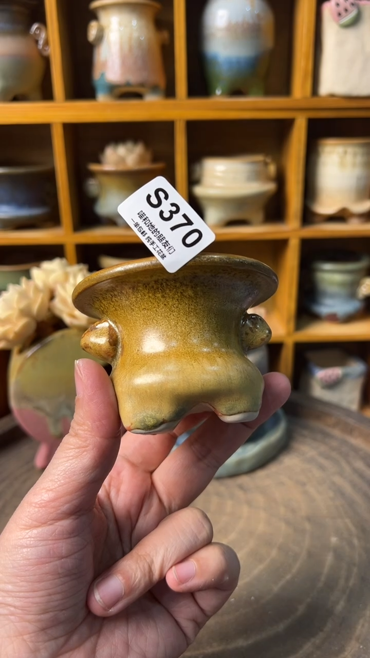 冬****花370【多肉花盆多肉盆】