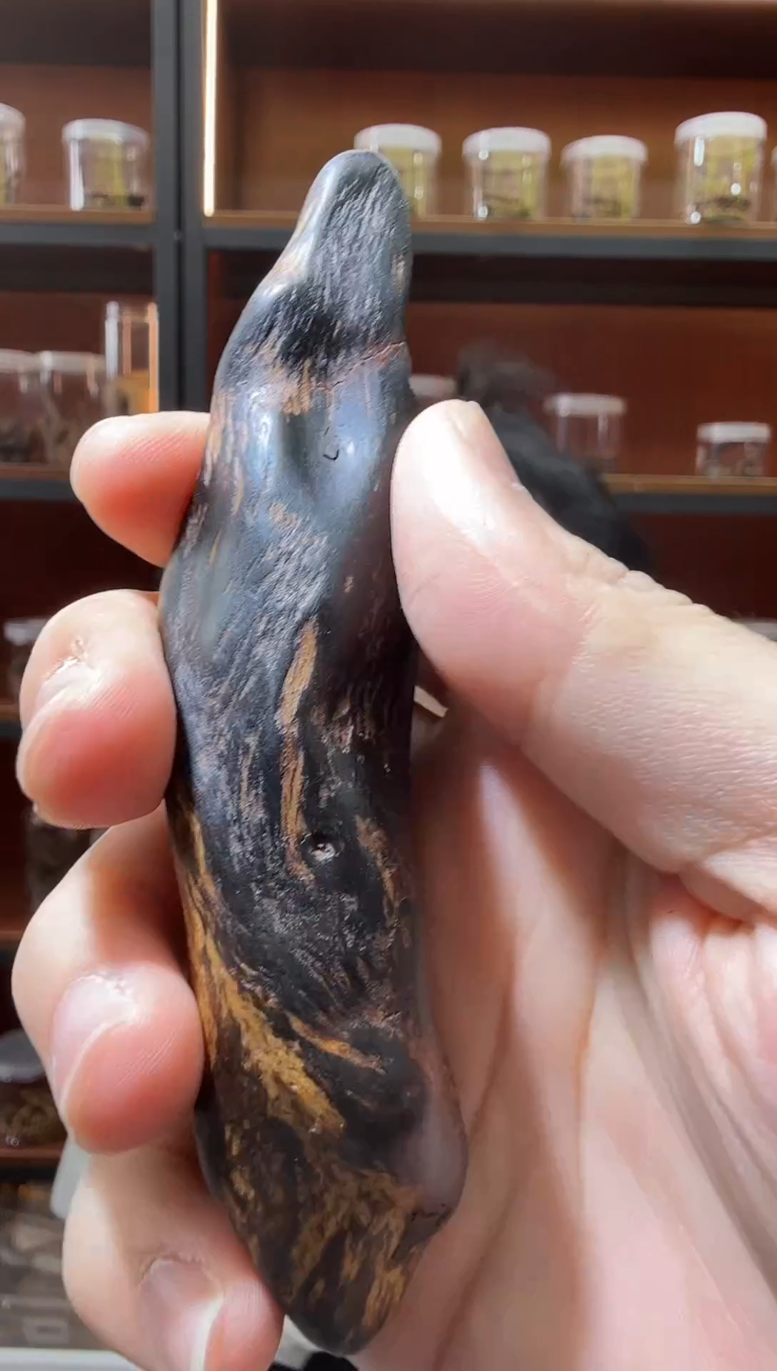 沉香吊坠38号都彭鹤骨龙筋多样性发一