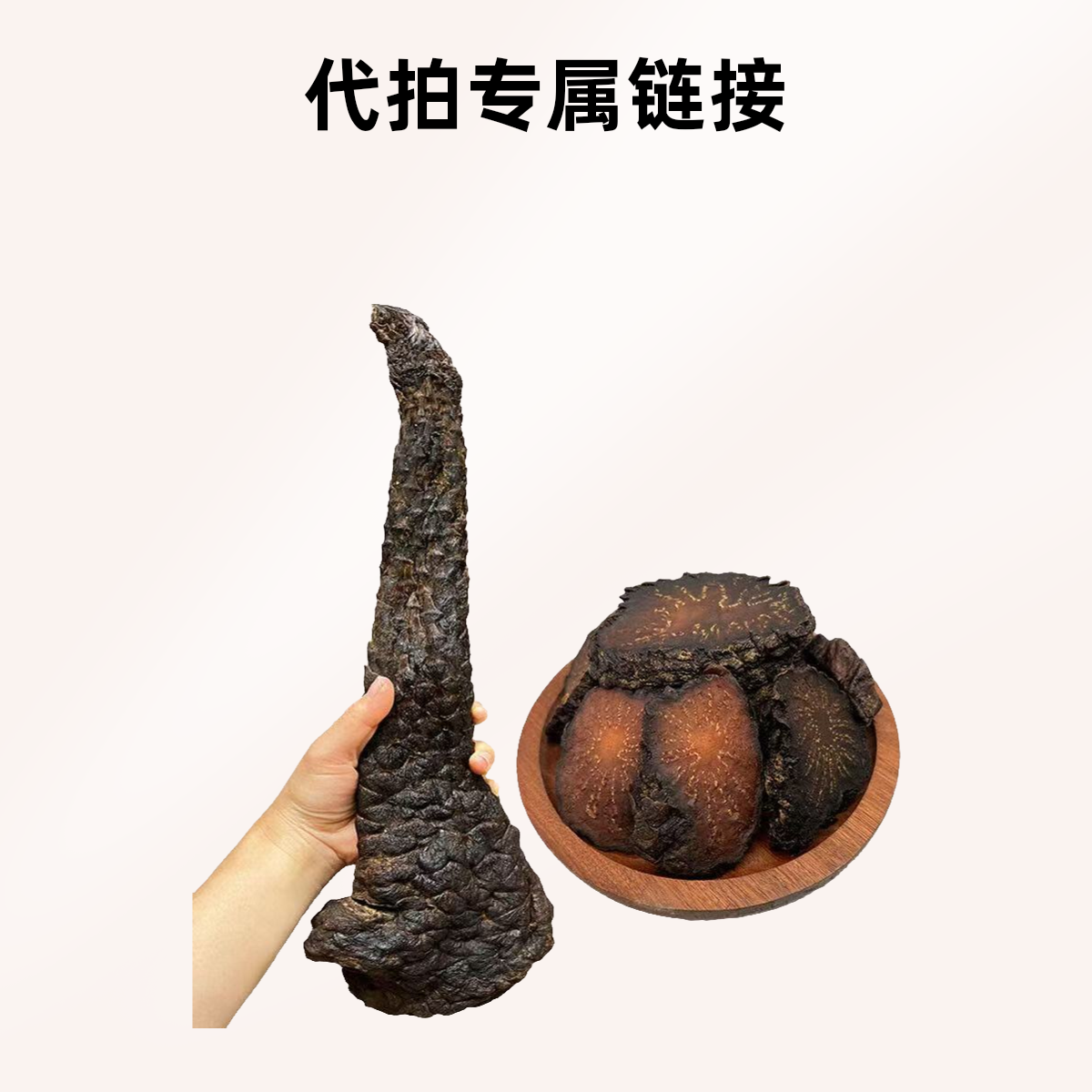 代拍链接，直播间为准阿拉善油性肉苁蓉秋冬季节采挖煲汤泡水泡酒
